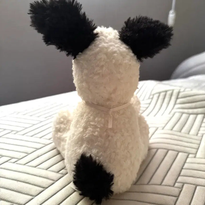 [BUNJANG] Jellycat Rupperty Puppy Junior Genuine / jellycat 루퍼티 퍼피 주니어 젤리캣 정품