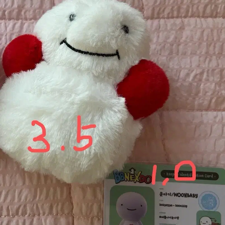 [BUNJANG] BOYNEXTDOOR Woonghee Doll ID Card / 보이넥스트도어 쁘넥도 운아기 운학 인형 ID 카드 양도 판매