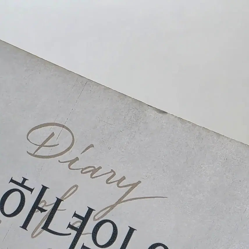 [BUNJANG] Diary of a Wimpy Kid 2015 Movie Poster / [전단지] 어느 하녀의 일기 2015 영화 포스터