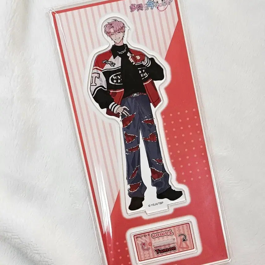 [BUNJANG] Tamoon-kun Acrylic Stand / [공식/새상품] 타몬군 지금 어느쪽 타몬 아크릴 스탠드