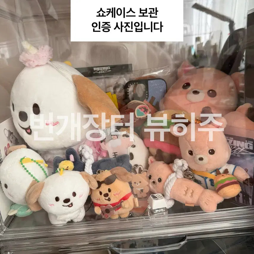 [BUNJANG] RIIZE Sungchan RIIZE PARK Acrylic Stand / 라이즈 성찬 리라즈파크 우락밤 아크릴 스탠드