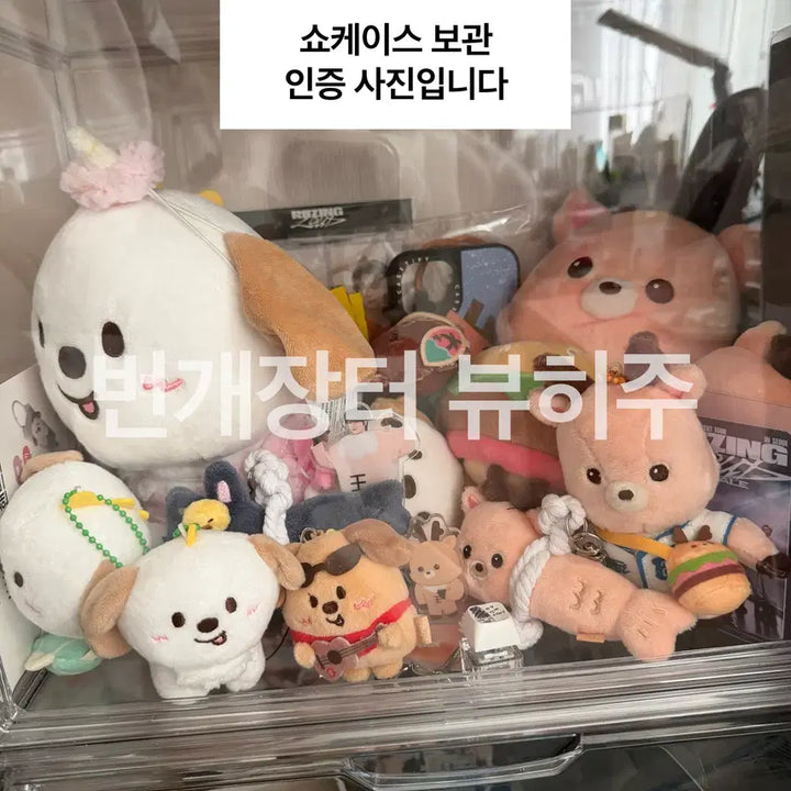 [BUNJANG] RIIZE Sungchan RIIZE PARK Acrylic Stand / 라이즈 성찬 리라즈파크 우락밤 아크릴 스탠드