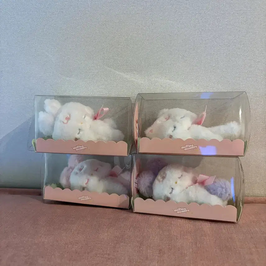 [BUNJANG] Melting Mimore Sleeping Dewey Bundle Set (Sealed) / 멜팅미모어 슬리핑 미개봉 일괄 듀이