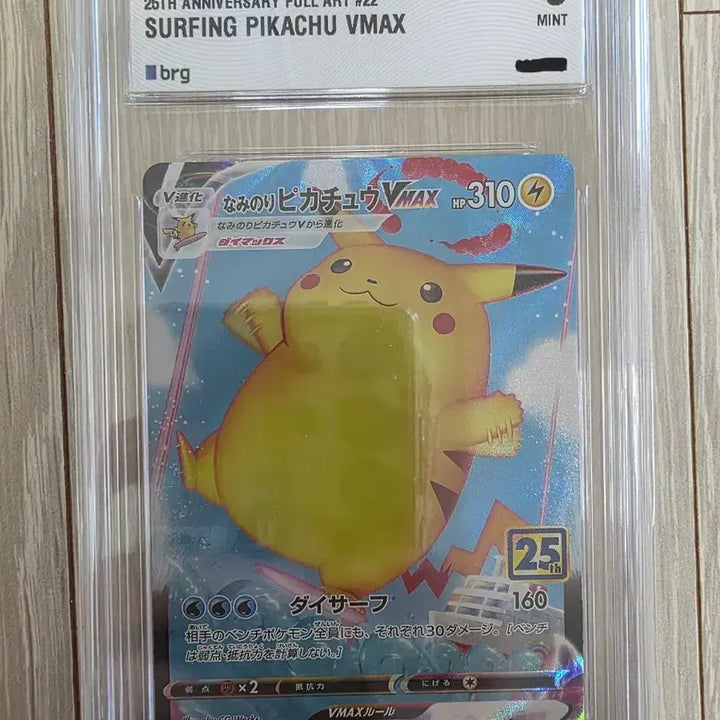 [BUNJANG] Pikachu Japanese Edition Graded Card Bundle / 피카츄 9등급카드 묶음 판매 (일본어판)