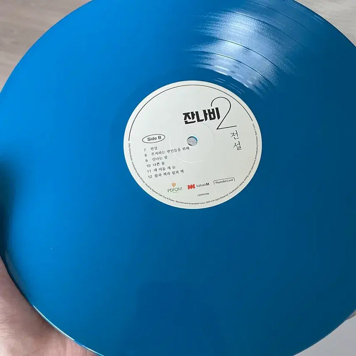 [BUNJANG] Jannabi Legend LP Blue Edition / 잔나비 전설 LP 블루반