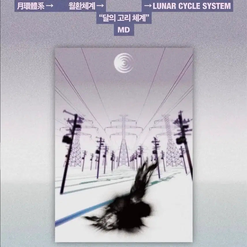 [BUNJANG] Daymentheyear 3rd Album MD Poster (Sealed) / [미개봉] 데이먼스이어 3집 MD 포스터