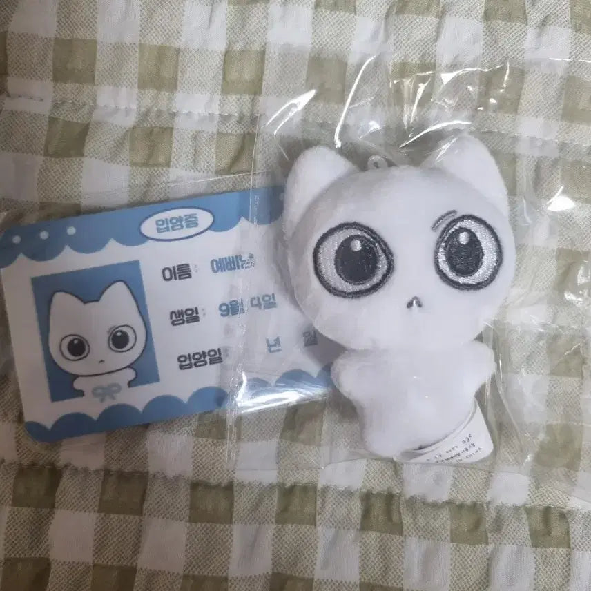 [BUNJANG] Yebbinyang Sung-ho 10cm Doll / 예삐냥 성호 10cm 인형