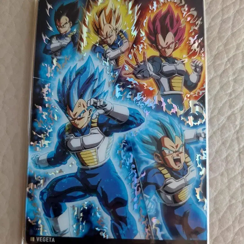 [BUNJANG] Dragon Ball Card Vegeta / 이타자가 드래곤볼 카드 베지터