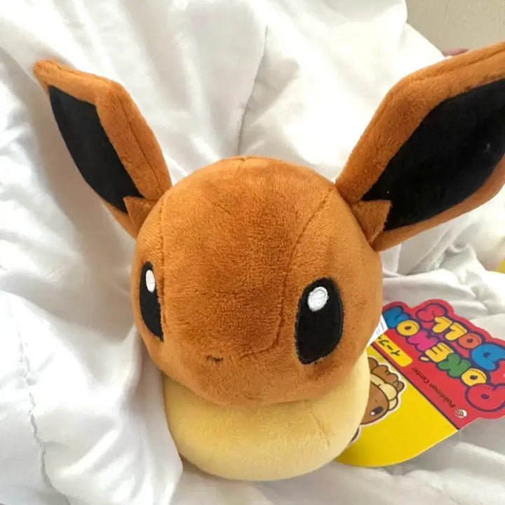 [BUNJANG] Official Pokemon Center Eevee Plush / 제가 가진 이브이가 가장 귀엽습니다