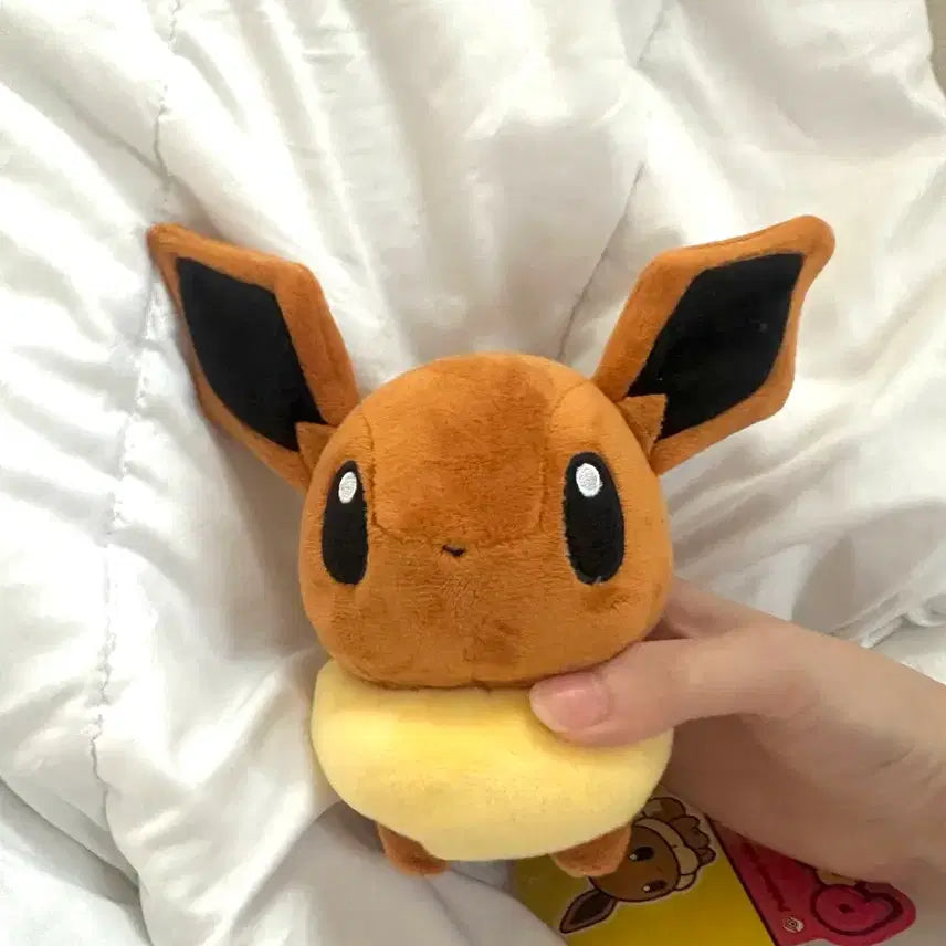 [BUNJANG] Official Pokemon Center Eevee Plush / 제가 가진 이브이가 가장 귀엽습니다
