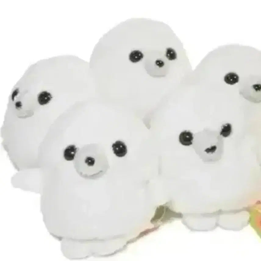 [BUNJANG] MINI BEANS Seal Plush Toy (Sealed) / 미니빈즈 물개 미개봉 판매