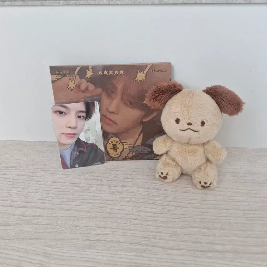 [BUNJANG] Stray Kids Seungmin Unofficial Goods Plush Doll / 스트레이키즈 승민 비공굿 인형