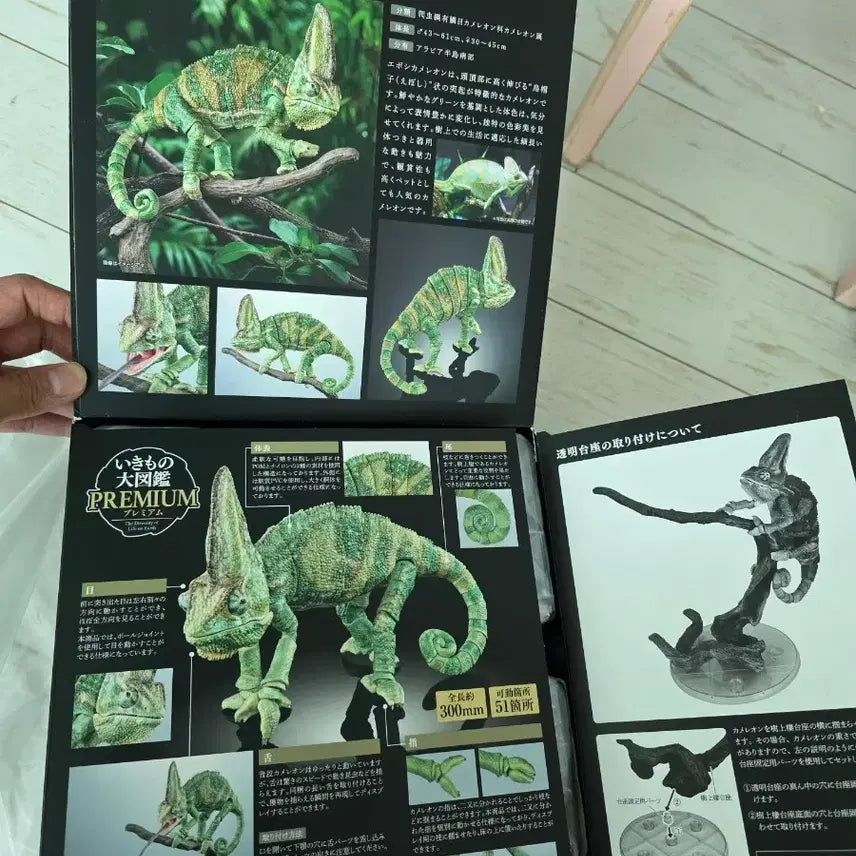 [BUNJANG] Bandai Bio-Giganotosaurus Beasts Veiled Chameleon Figure / 반다이 생물대도감 베일드 카멜레온