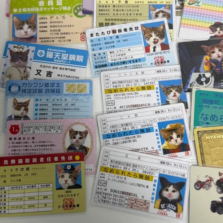 [BUNJANG] Nameneko 26-Piece Bundle Set / 나메네코 26종 일괄 판매