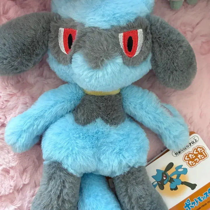 [BUNJANG] Pokemon Riolu Kutakutatata S Plush / 포켓몬 리오르 쿠타쿠타탓타 S 인형