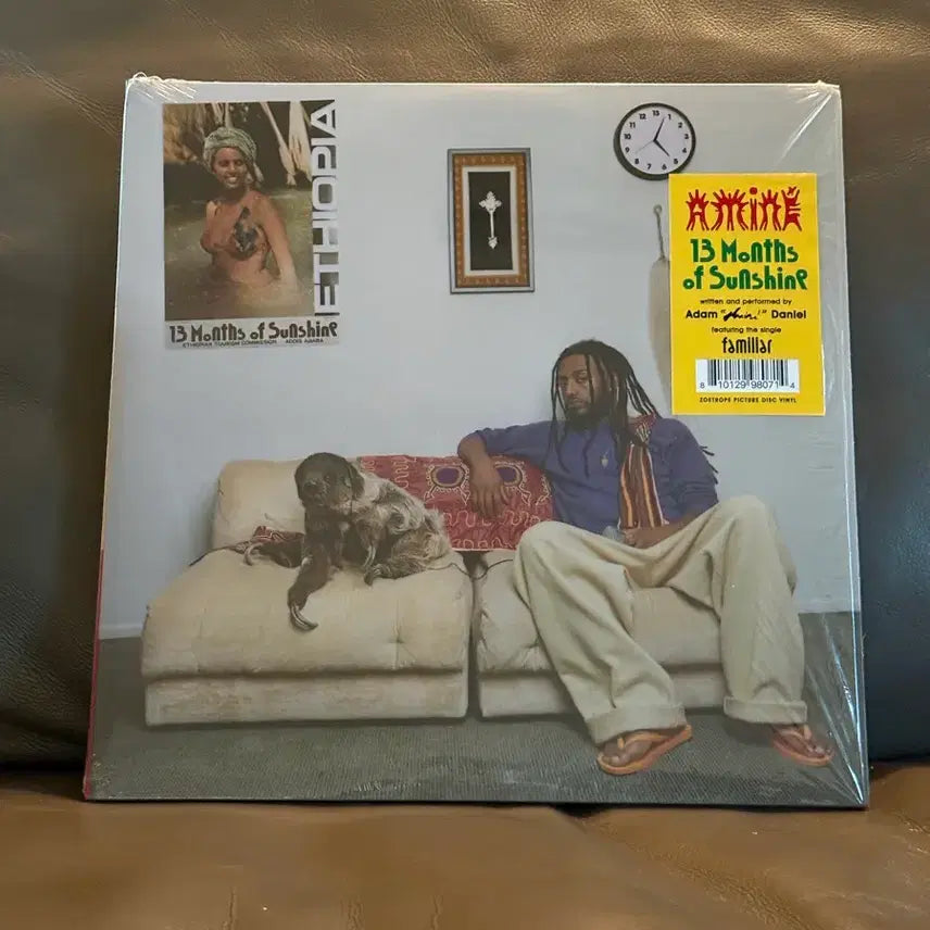 [BUNJANG] Amina 3rd Album Zoetrope LP / 아미네 amine 3집 lp 조에트로프반