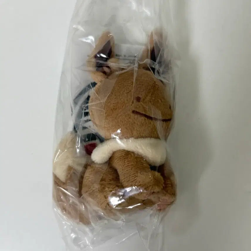 [BUNJANG] Chu Posen Metamong Eevee Keyring / 중포센 메타몽 이브이 키링
