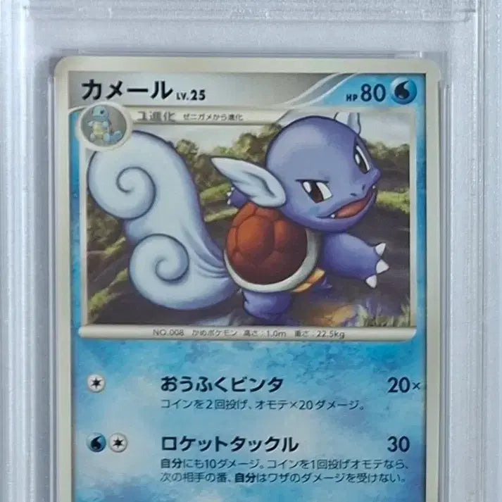 [BUNJANG] Pokemon Card Galactic Battle Turtwig 1st Edition PSA 9 / 일판 2008 갤럭틱스 어니부기 psa9 초판 퍼스트에디션 1st 포켓몬카드 긴자의 패기