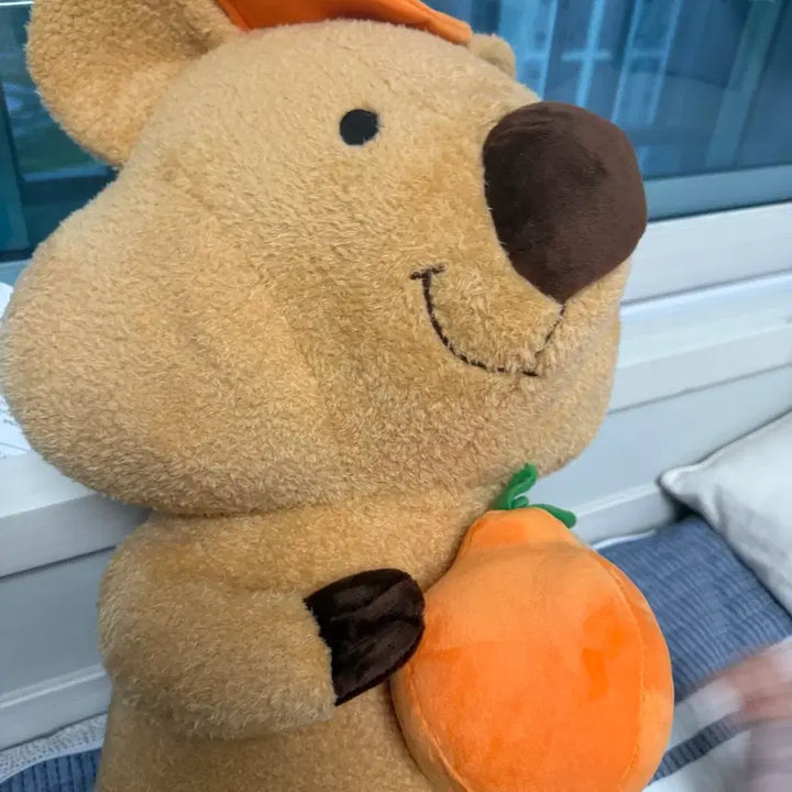[BUNJANG] Quokka Large Plush Toy / 쿼카 대형인형 (새상품)