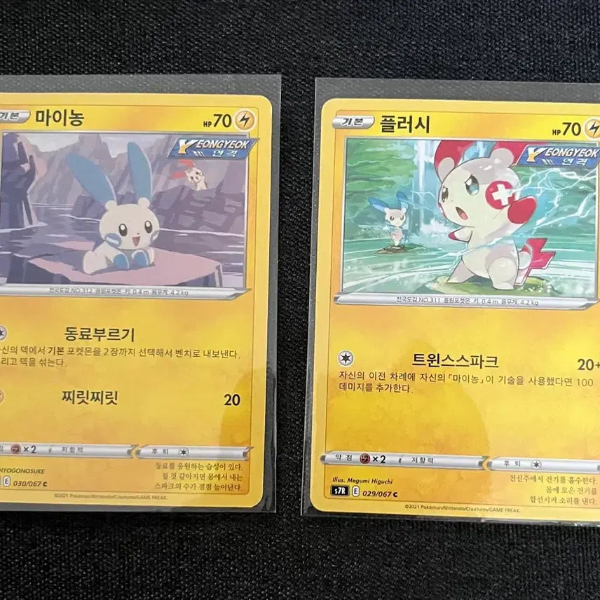 [BUNJANG] Pokemon Card Mignon / Fluffy / 포켓몬 카드 마이농 / 플러시