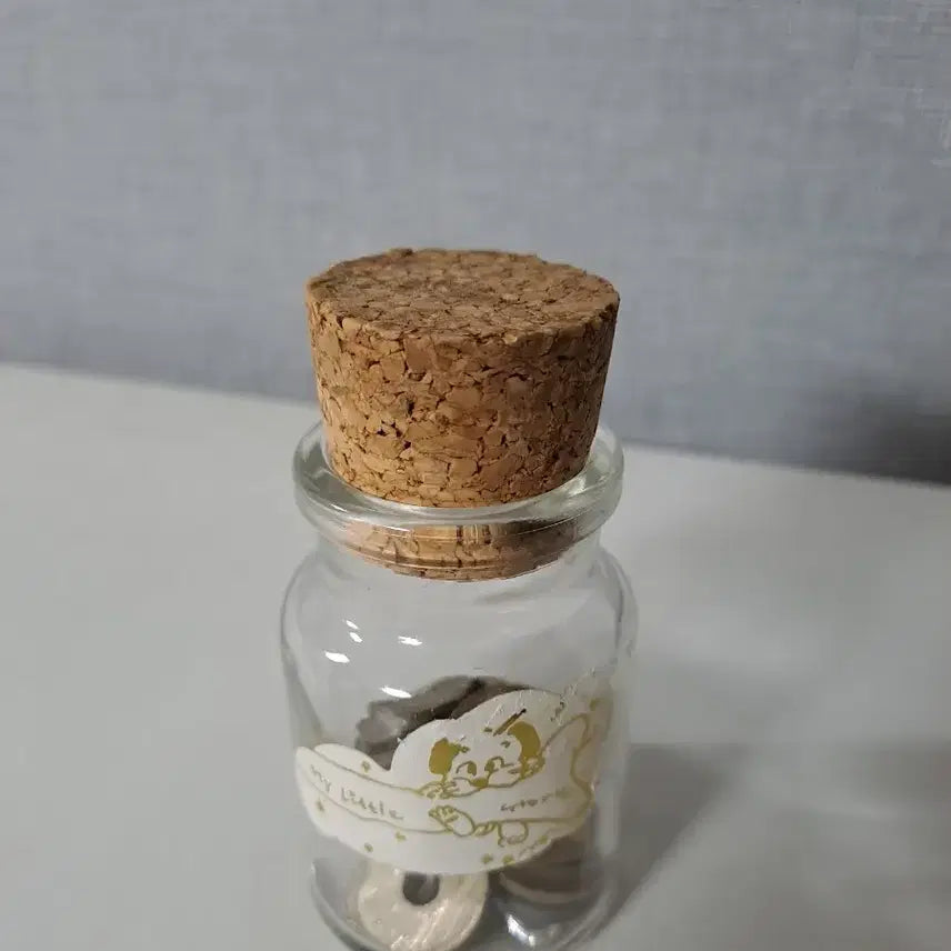 [BUNJANG] World Coin Collection in Glass Jar / 세계동전들과 유리병
