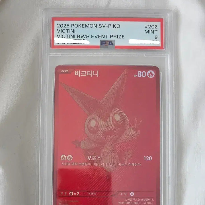 [BUNJANG] Pokemon Card Victini BWR PSA 9 / 포켓몬 카드 비크티니bwr psa9 이벤트프라이스 프로모
