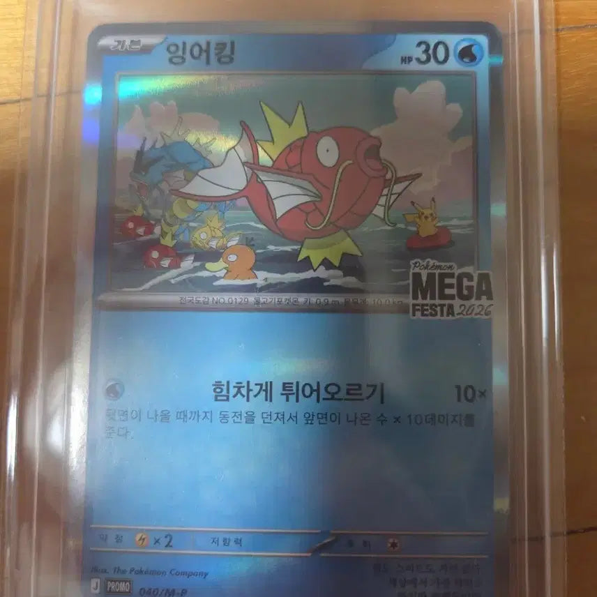 [BUNJANG] Pokemon Magikarp MEGA FESTA 2026 Promo Card / 포켓몬 카드 잉어킹 MEGA FESTA 2026 팝니다