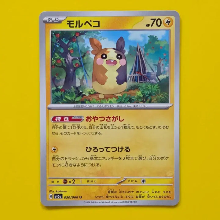 [BUNJANG] Pokemon Card Morpeko Japanese / 포켓몬카드 모르페코 일판 sv5a