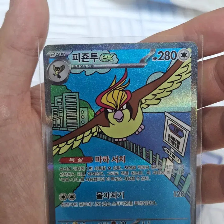 [BUNJANG] Pigeon Two SAR 151 Series Guggu AR Set / 피죤투 sar 151 시리즈 구구ar  피죤 ar 포함