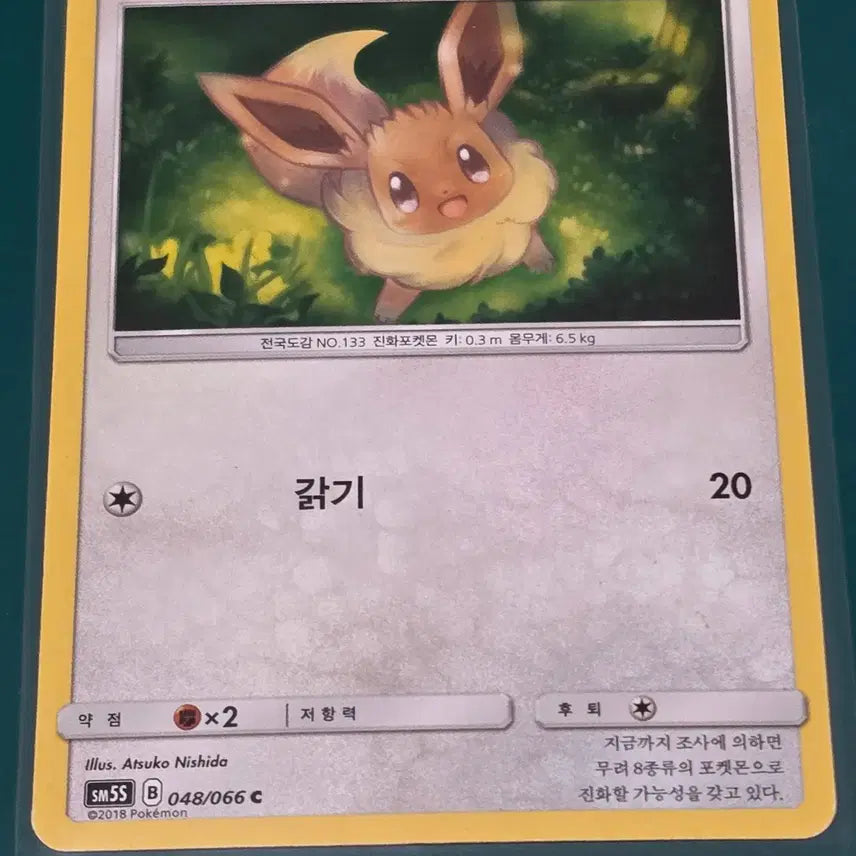 [BUNJANG] Eevee 048/066 SM55 Pokemon Card / 이브이 048 066 sm55포켓몬카드