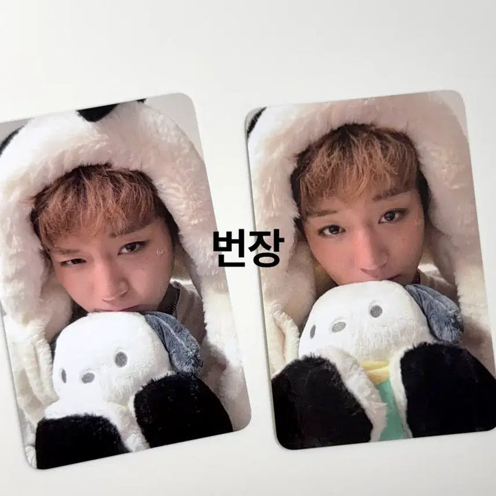 [BUNJANG] Park Ji Hoon Pochacco Photocard Set (2 Types) / 박지훈 포차코 포카 2종 세트