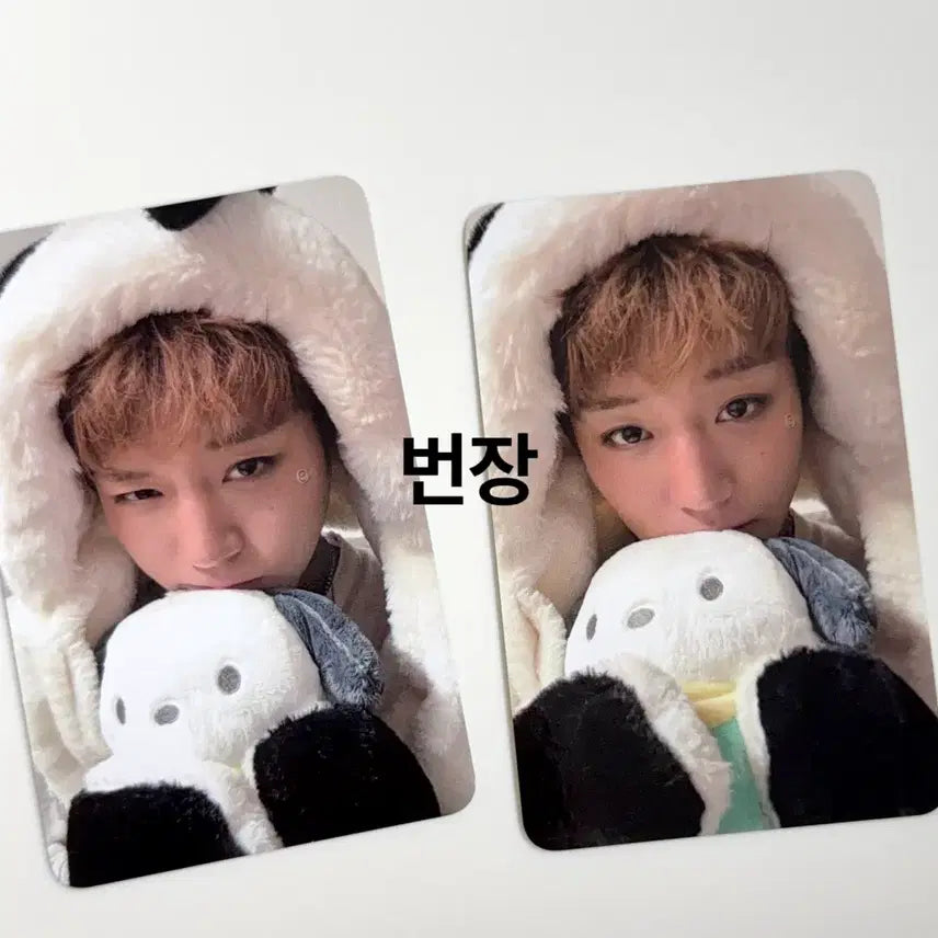 [BUNJANG] Park Ji Hoon Pochacco Photocard Set (2 Types) / 박지훈 포차코 포카 2종 세트