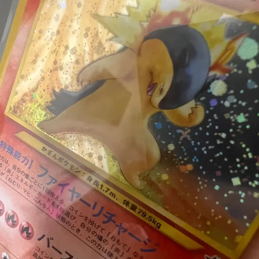 [BUNJANG] Pokemon Card Vintage Blaziken Holo Rare - Bundle Set / 포켓몬카드 빈티지 올드백 희귀 블레이범 홀로