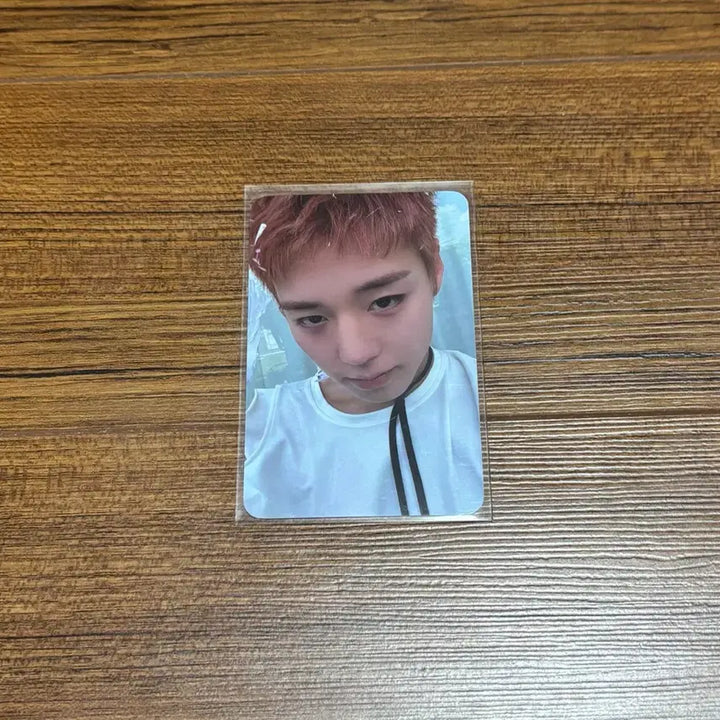 [BUNJANG] Park Ji Hoon Reflect PLVE Album Photocard / 박지훈 리플렉트 plve 플브 앨범 포카 포토카드 굿즈