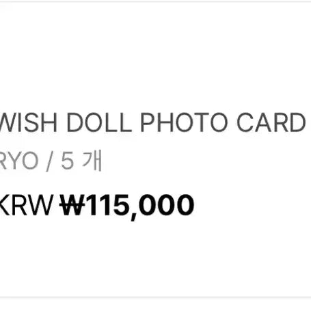 [BUNJANG] NCT WISH Leo Photocard Holder / 엔시티위시 포토카드 홀더 료
