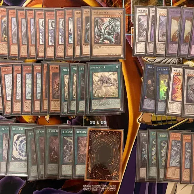 [BUNJANG] Yu-Gi-Oh! Blue-Eyes White Dragon Deck / 유희왕 백룡덱 팝니다