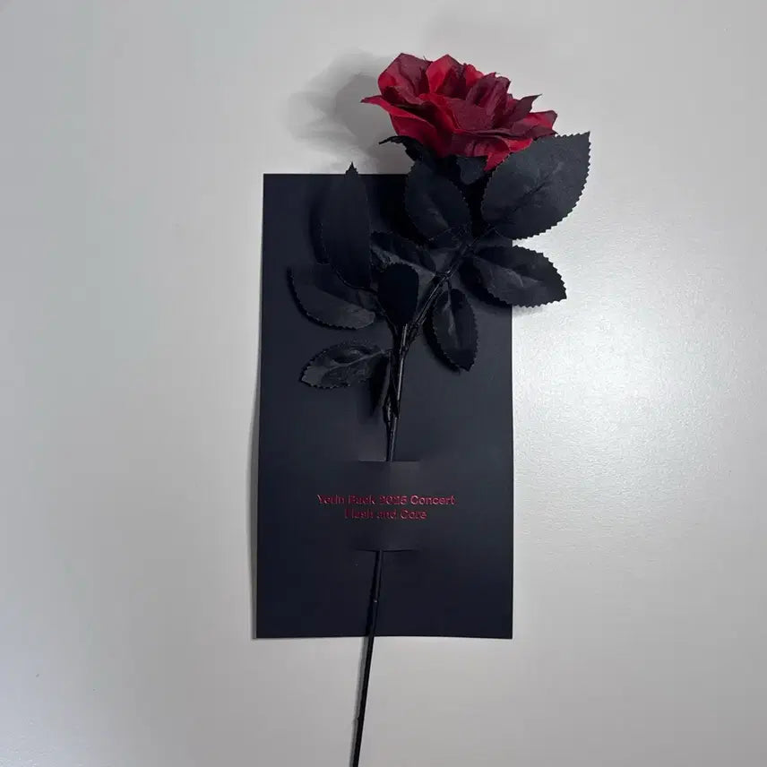 [BUNJANG] Yerin Baek 2025 Concert Flash and Core Red Rose Goods / 백예린 2025 콘서트 빨간 장미 굿즈 flash and core