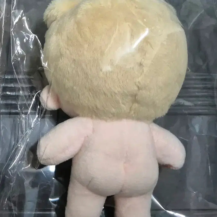 [BUNJANG] The Great Seven Years Park Moon Dae Custom 10cm Plush Doll Teabags Moon Dae / 데못죽 박문대 속성 솜인형 티백문대 10cm
