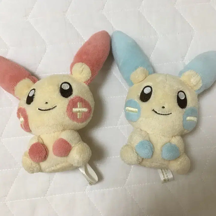 [BUNJANG] Pokemon Canvas Plush Doll MyNong Bundle Set / 포켓몬 캔버스 인형 플러시 마이농 일괄
