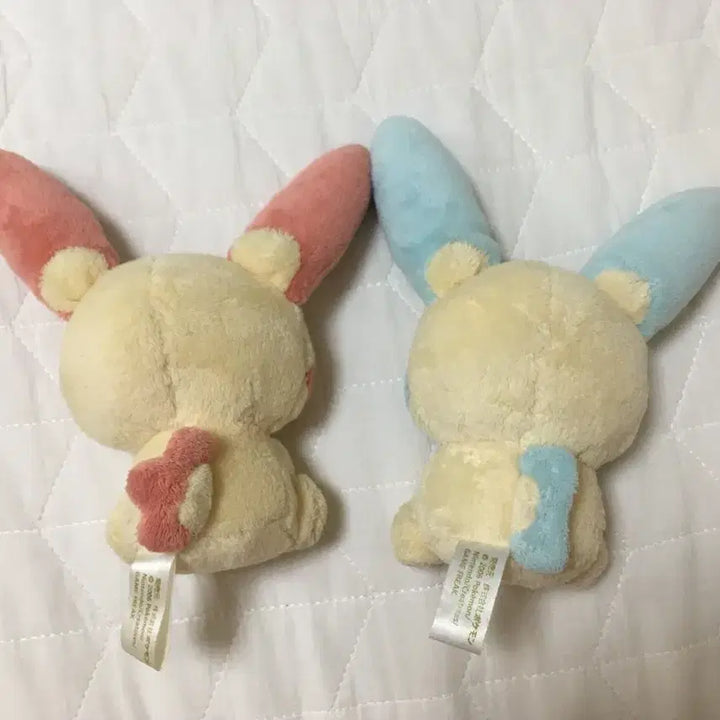 [BUNJANG] Pokemon Canvas Plush Doll MyNong Bundle Set / 포켓몬 캔버스 인형 플러시 마이농 일괄
