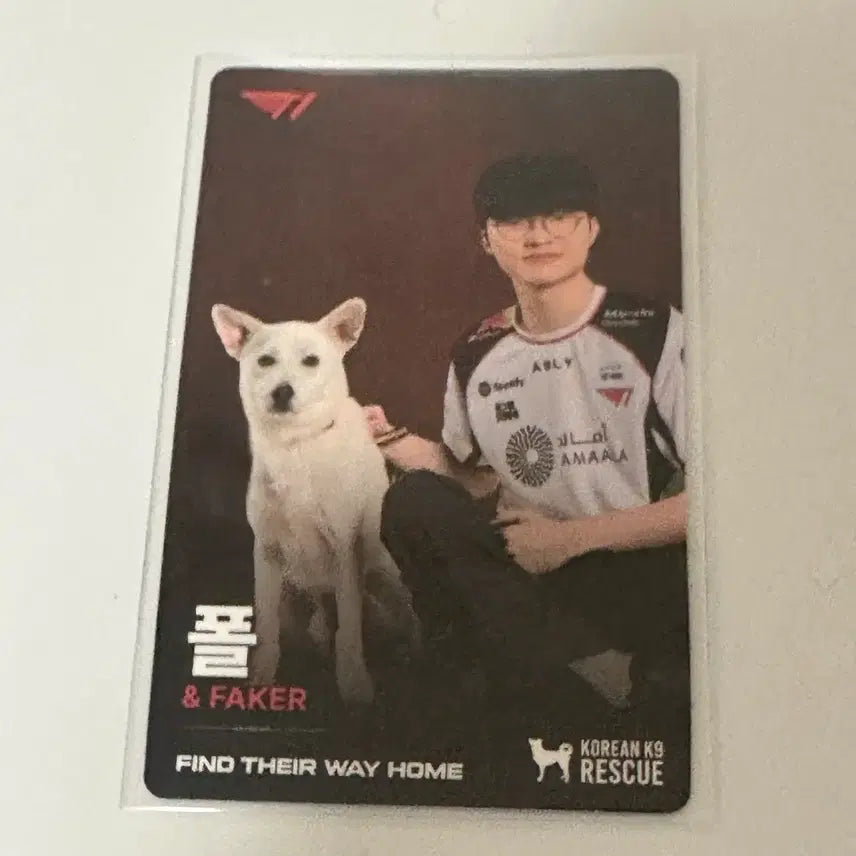 [BUNJANG] T1 Faker kk9r Photocard Home Booth / 티원 페이커 kk9r 포토카드 홈그 부스