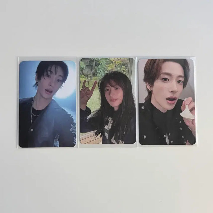 [BUNJANG] RIIZE Anton Dyd 1000 Days Party Trading Card Bundle Set / 앤톤 dyd 앨포 천일파티 트레카 일괄 라이즈