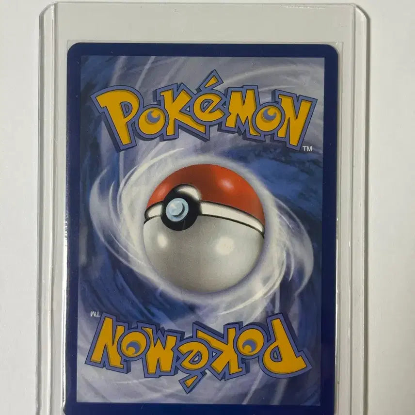 [BUNJANG] Pokemon TCG 2024 Halloween Phantump Card / (북미) 포켓몬카드 2024 할로윈 팬텀