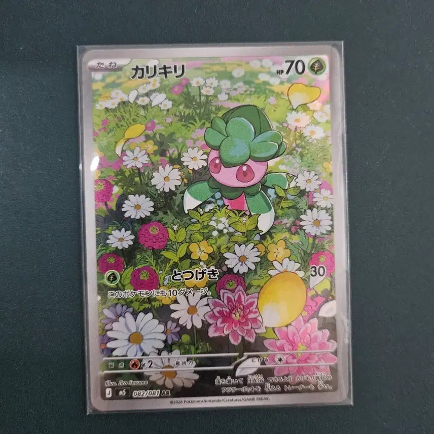 [BUNJANG] Pokemon Card Jarango AR 082/081 / [포켓몬카드/일판] 짜랑랑 AR 082/081