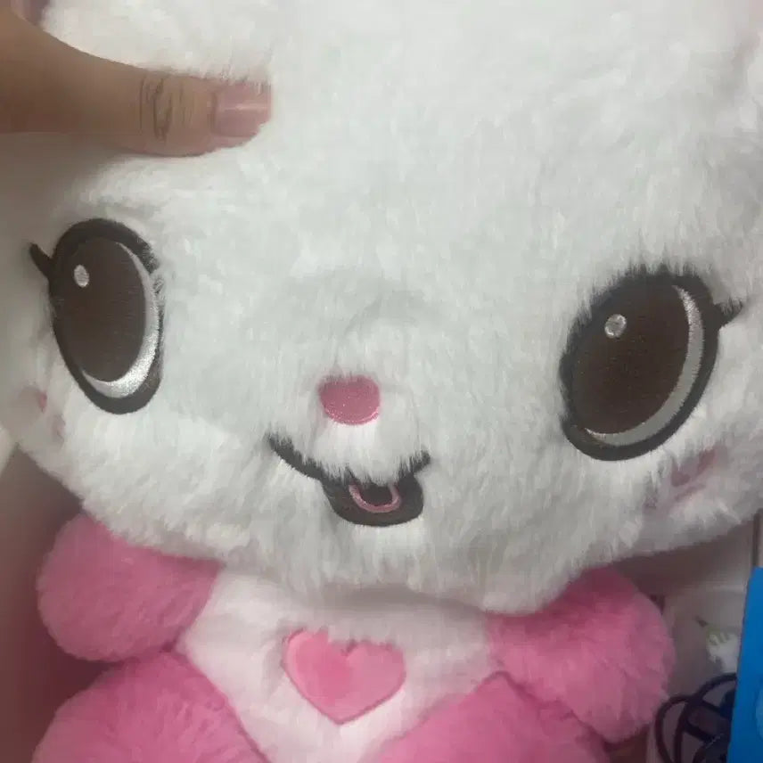 [BUNJANG] 30cm Pangyi Plush Doll / 30 팡이