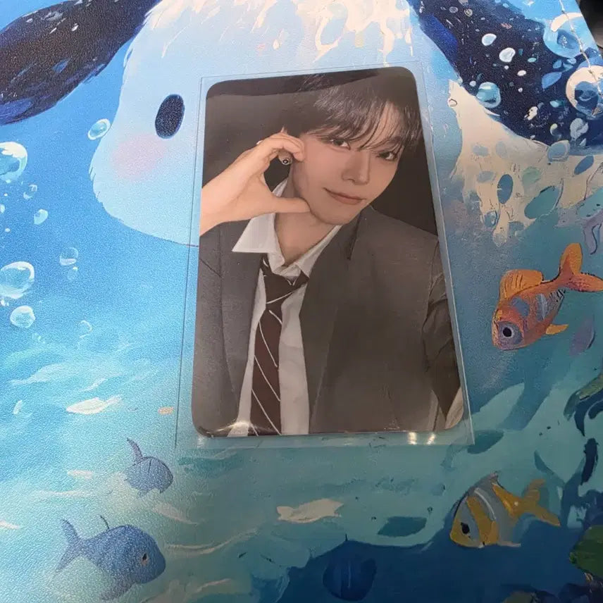 [BUNJANG] Nokkerfi Scene Long MD Photocard POB Alphadriveone / 노커피 씬롱 MD 포카 미공포 알파드라이브원 알디원 ald1