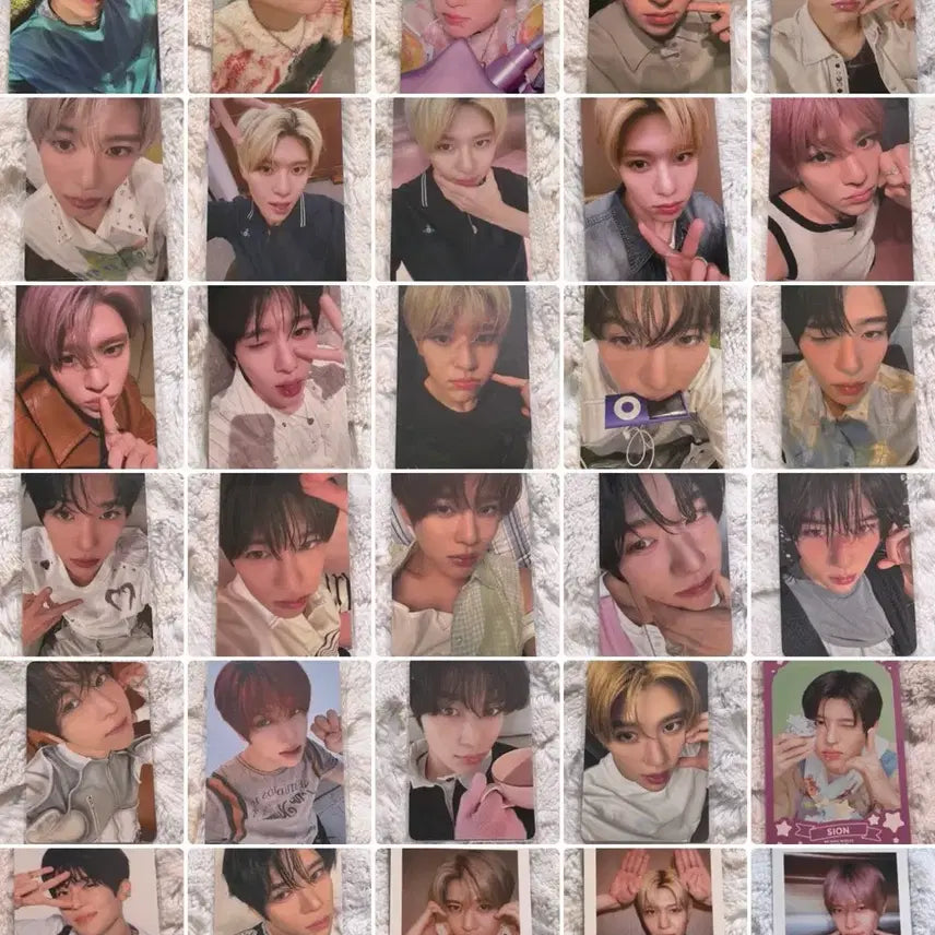 [BUNJANG] NCT WISH Sion Photocard Bundle Set (30 pcs) / 엔시티위시 nctwish 시온 포카 30장 일괄