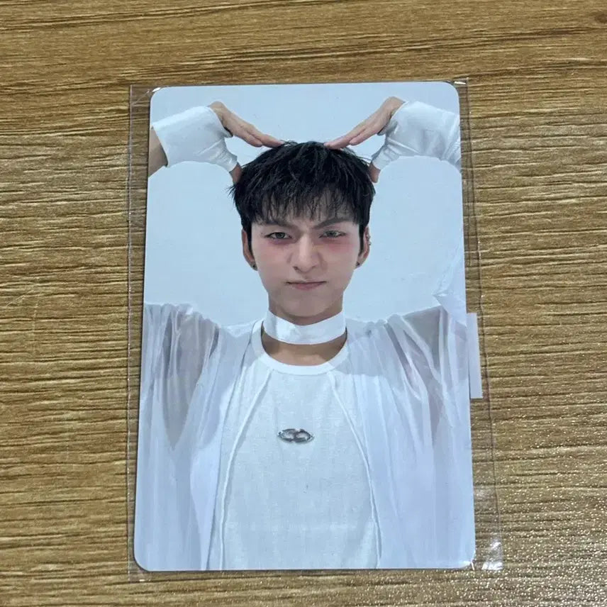 [BUNJANG] Enhypen Sunoo Cat Ear Photocard / 엑디즈 오드 고양이귀 포카