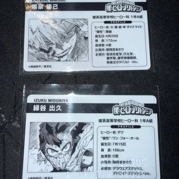 [BUNJANG] My Hero Academia Birthday Cards Bakugo &amp; Midoriya Bundle Set / 나히아 생일카드 바쿠고 미도리야 일괄