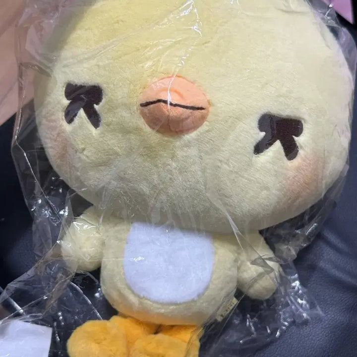[BUNJANG] EXO Sehun Hug Doll Oari / 엑소 세훈 인형 오아리 허그돌
